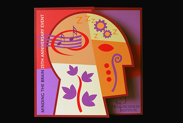 nsi_brochure.jpg